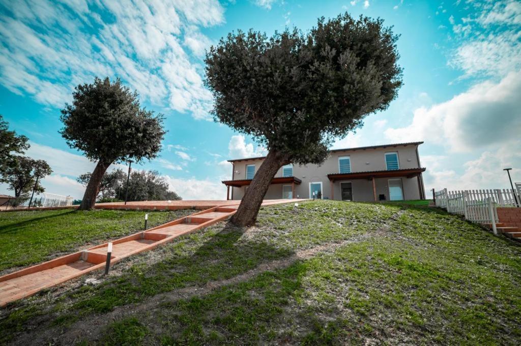 Agriturismo Il Colle Dei Lecci Ancona Exterior photo